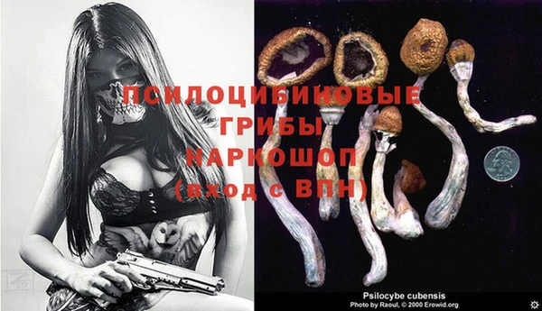 стаф Михайловка