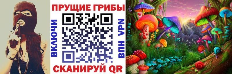 Галлюциногенные грибы MAGIC MUSHROOMS  купить  сайты  Новотроицк 
